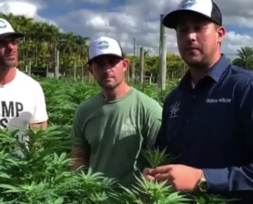 TPG Hemp Interview | Mr. Cannabis Law